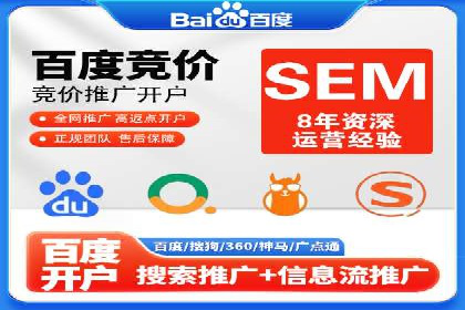 大型企业SEM外包实战案例